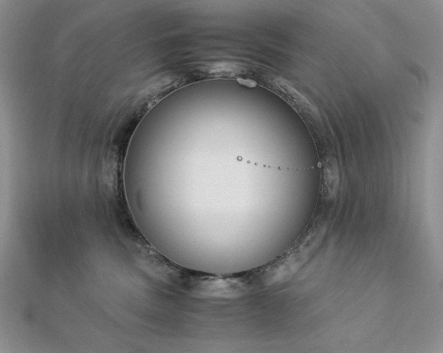 X0000113170379200909041327