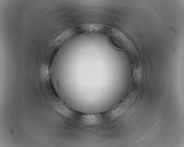 X0000113170381200909041327