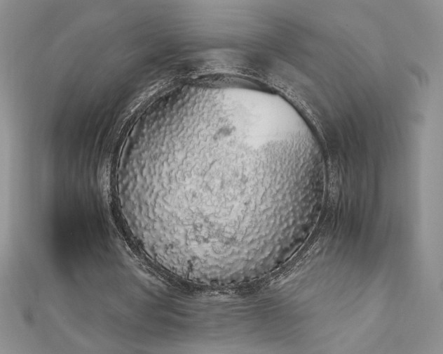 X0000113170386200909041326