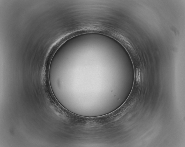 X0000113170388200909041326