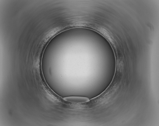 X0000113170389200909041326