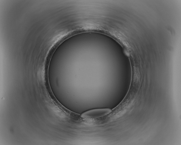 X0000113170391200909041326