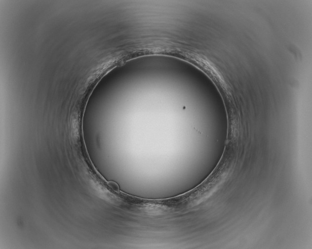 X0000113170393200909041326