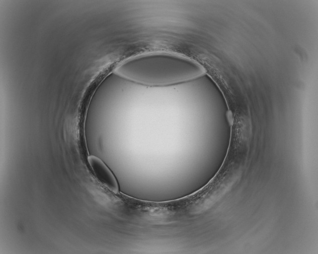 X0000113170395200909041326