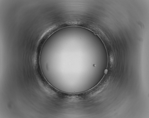X0000113170396200909041326