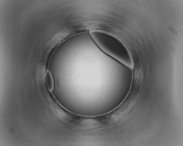 X0000113170397200909041326