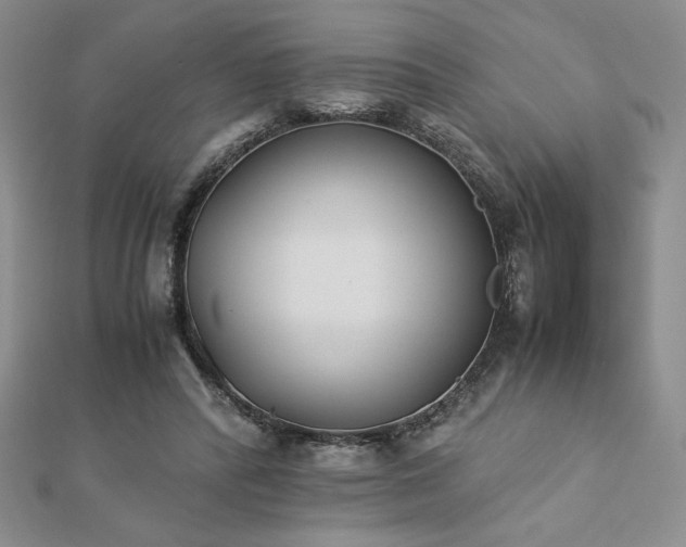 X0000113170400200909041326