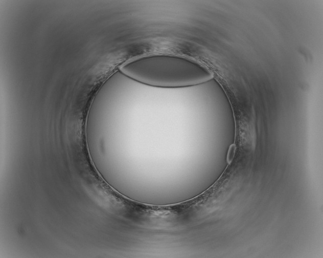 X0000113170401200909041326