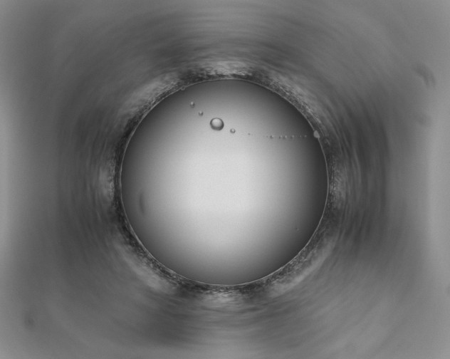 X0000113170402200909041326