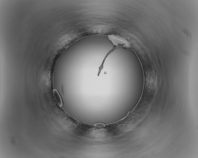 X0000113170403200909041326