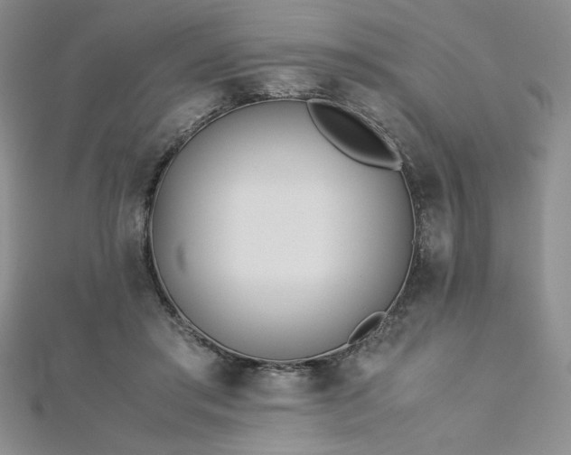X0000113170405200909041326