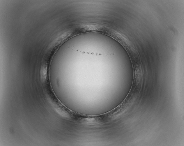 X0000113170406200909041326