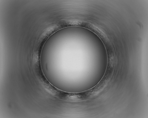 X0000113170407200909041326