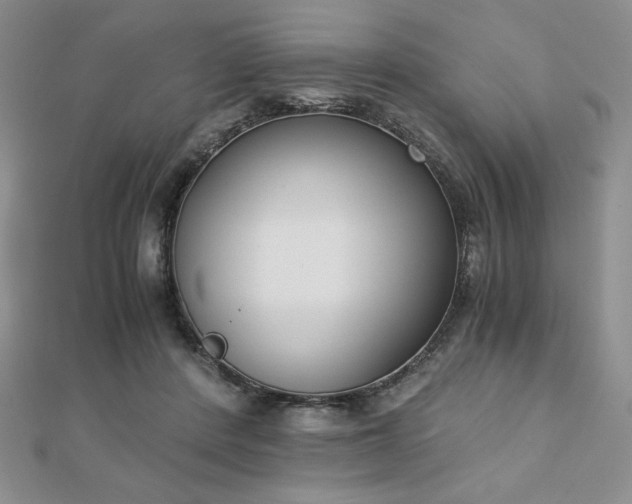 X0000113170408200909041326