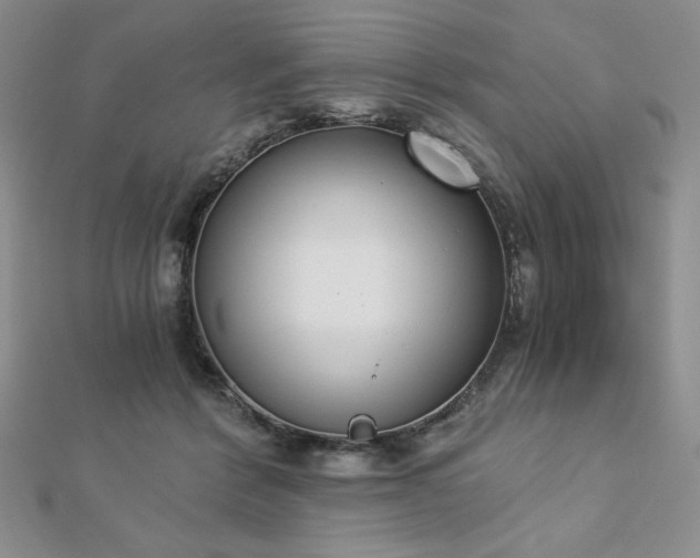 X0000113170412200909041326