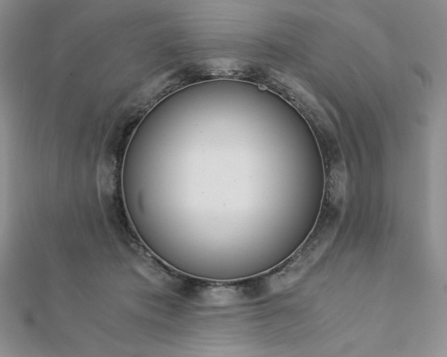 X0000113170413200909041326