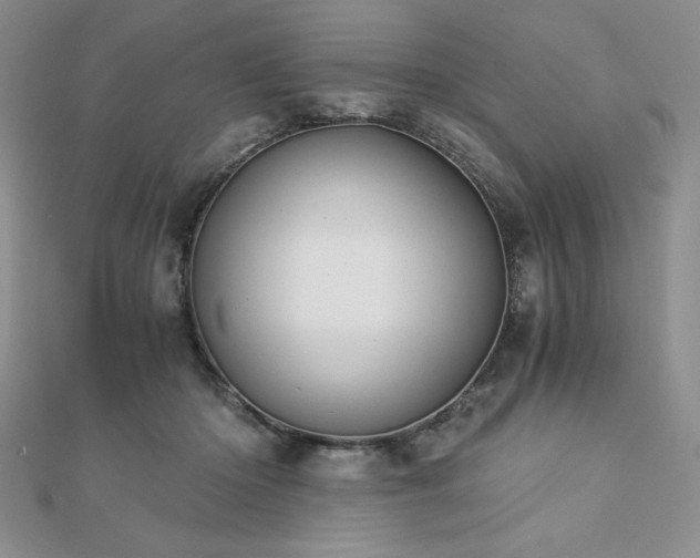 X0000113170414200909041326