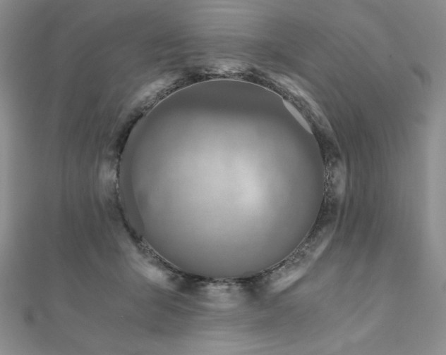X0000113170415200909041326