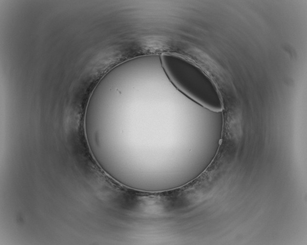 X0000113170417200909041326