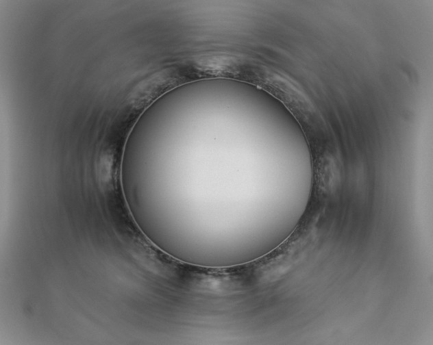 X0000113170420200909041326