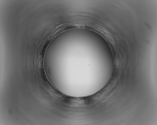 X0000113170421200909041326