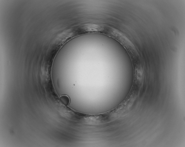 X0000113170422200909041326