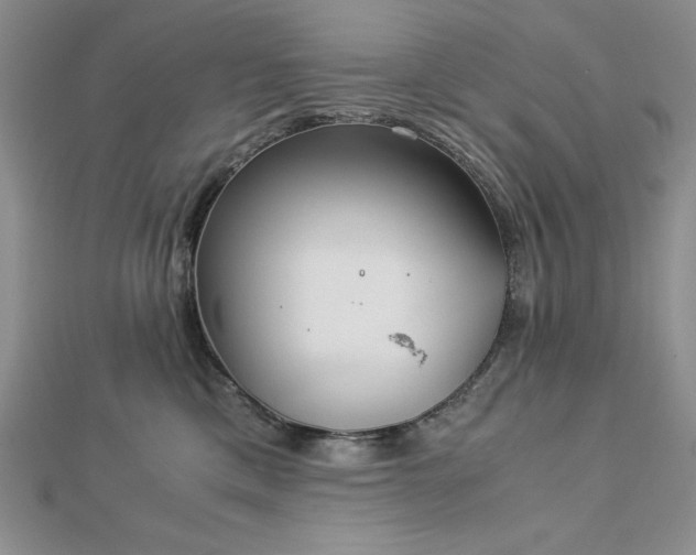 X0000113170425200909041326