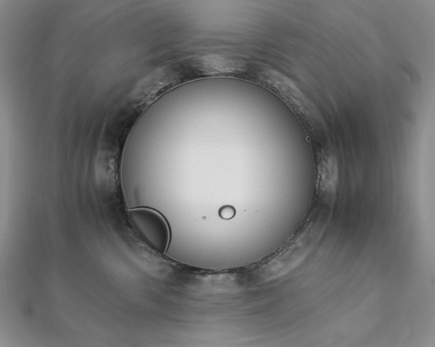 X0000113170426200909041326