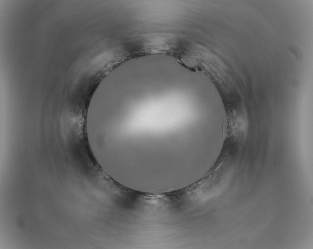X0000113170427200909041326