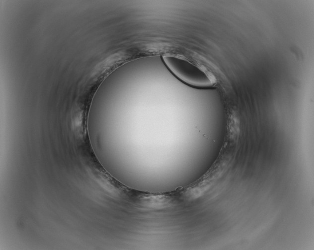 X0000113170428200909041326