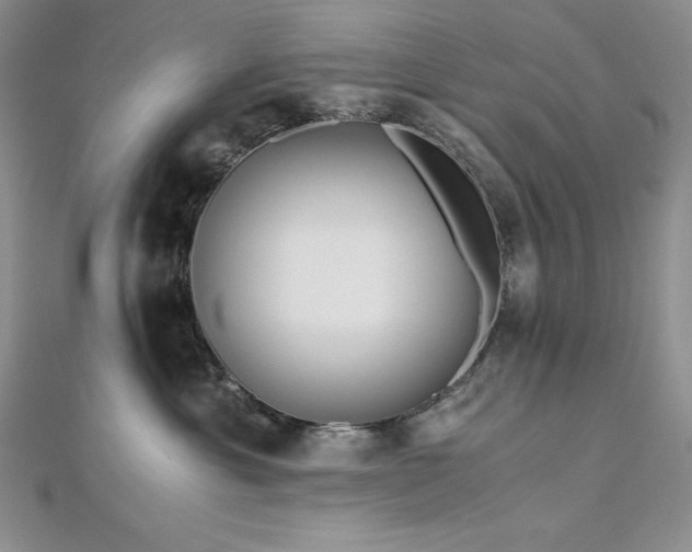 X0000113170429200909041326