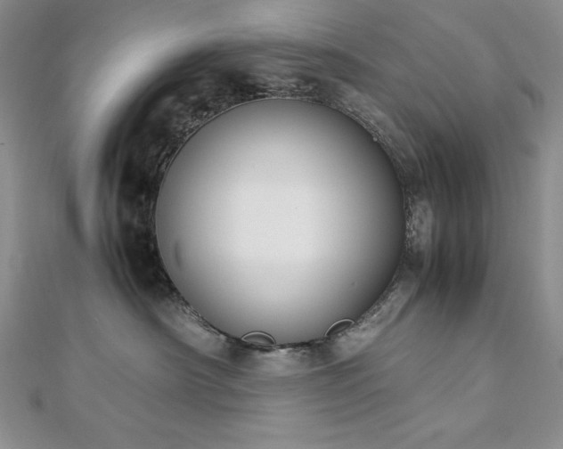 X0000113170430200909041326