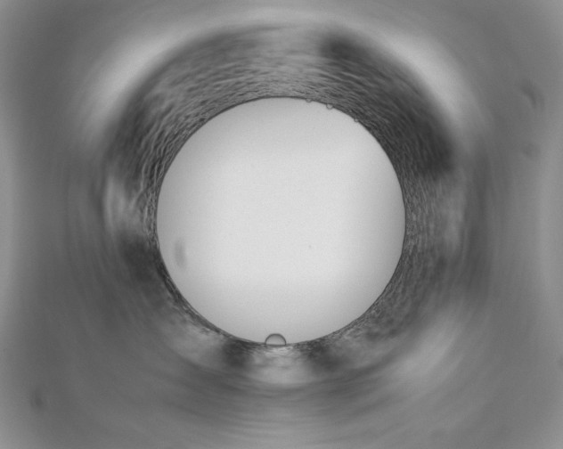 X0000113170431200909041326