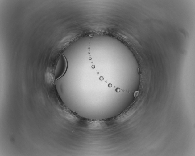 X0000113170432200909041326