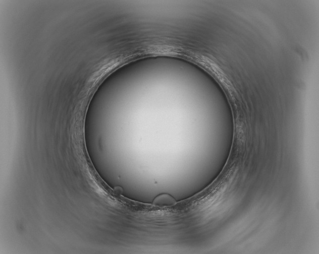 X0000113170433200909041325