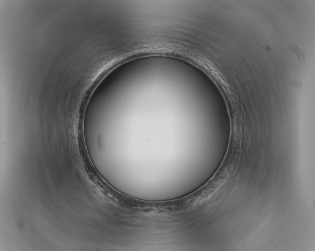 X0000113170434200909041325
