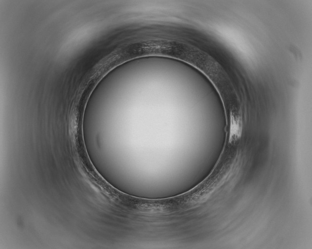 X0000113170435200909041325