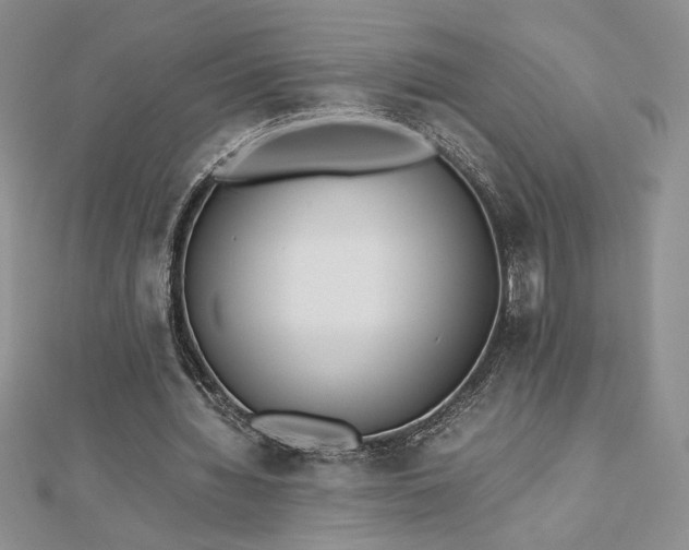 X0000113170436200909041325