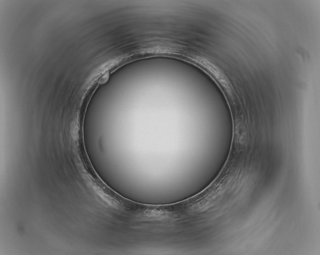 X0000113170437200909041325