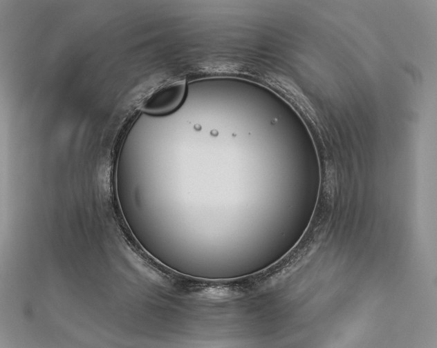 X0000113170441200909041325