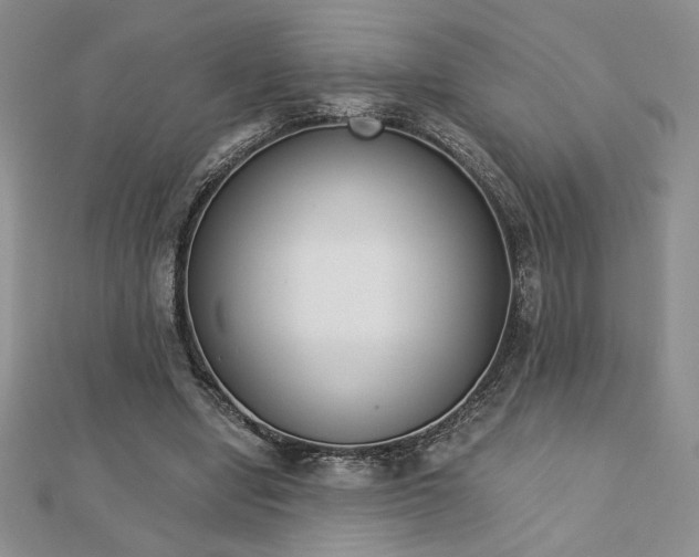 X0000113170442200909041325