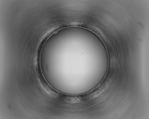 X0000113170443200909041325