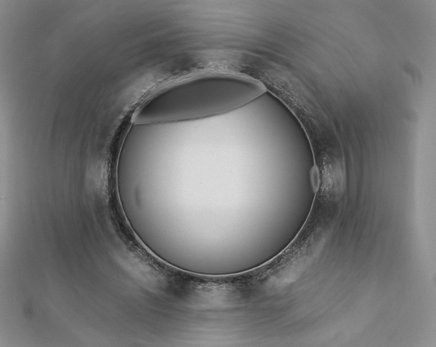 X0000113170444200909041325
