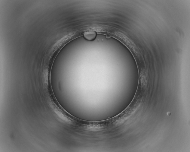 X0000113170445200909041325