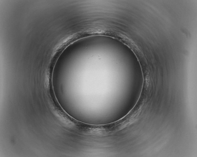 X0000113170446200909041325