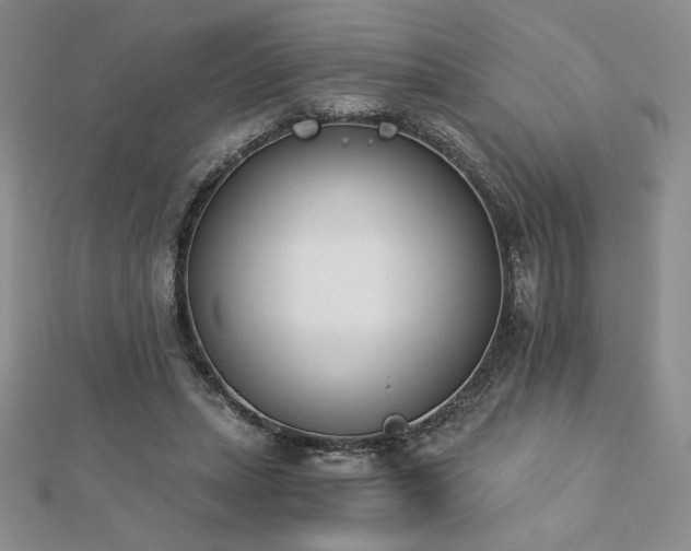 X0000113170447200909041325