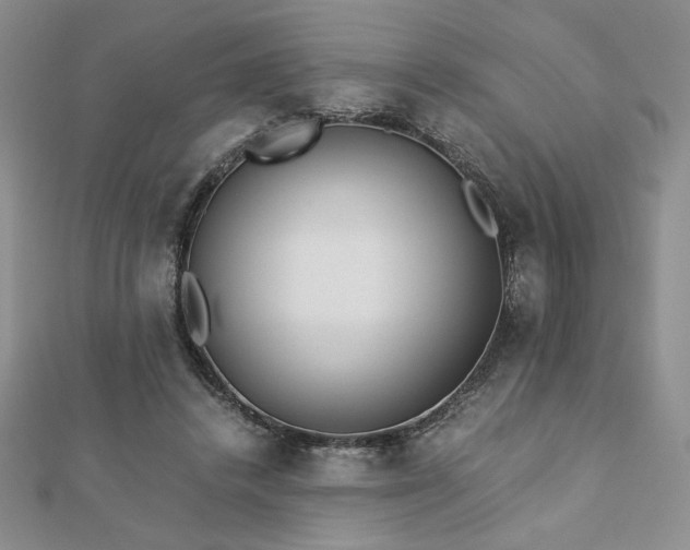 X0000113170448200909041325