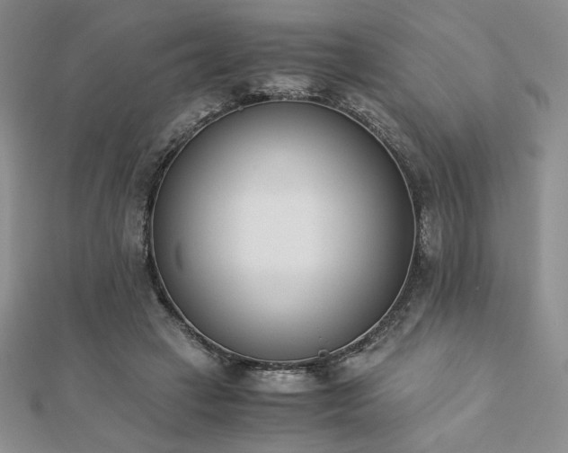 X0000113170449200909041325