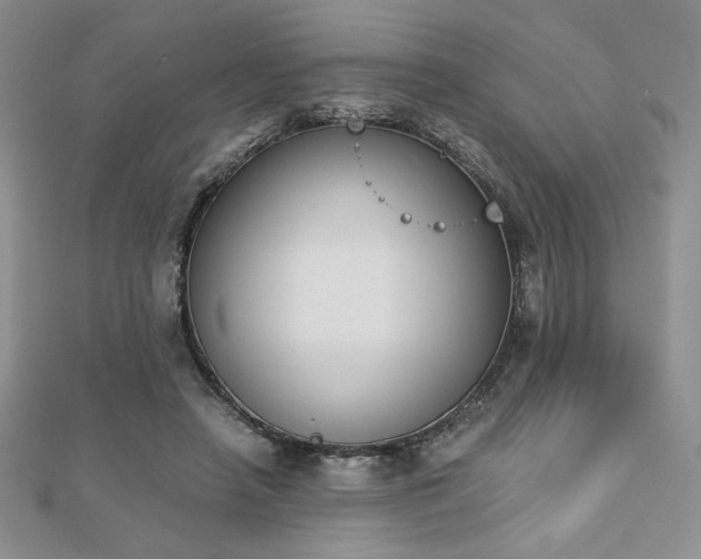 X0000113170450200909041325