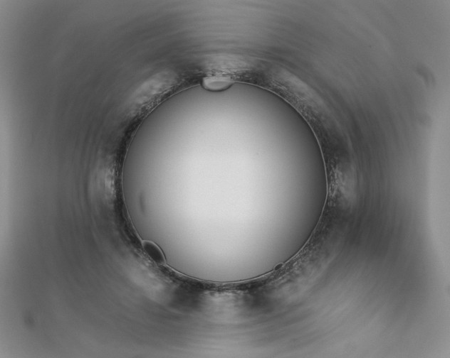 X0000113170452200909041325